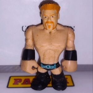 Sheamus The Celtic Warrior 🔥 WWE Wrestling Action Figure